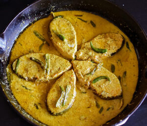 HOME 31 sundarban tour