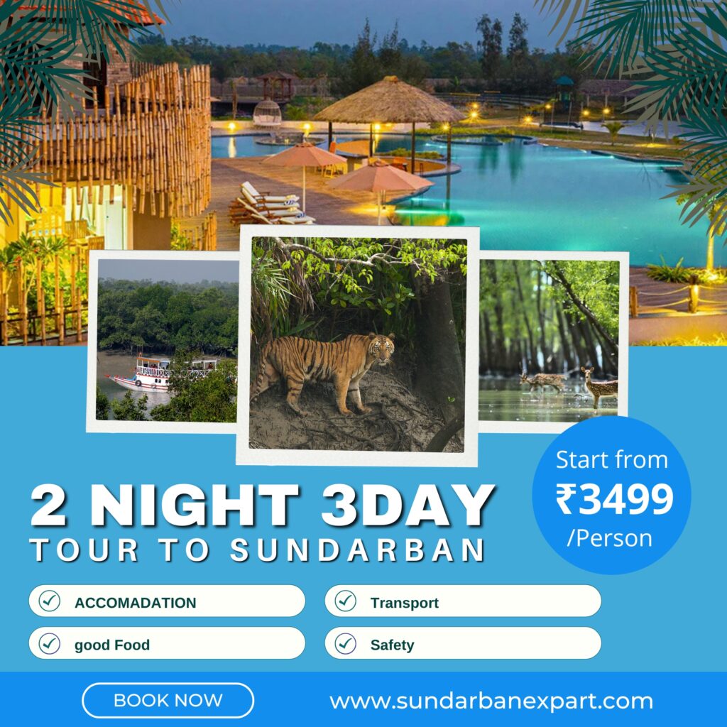 White Blue Modern Cruise Ship Tour To Asia Instagram Post